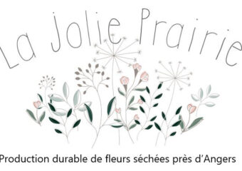 La Jolie Prairie - fleurs séchées Briollay
